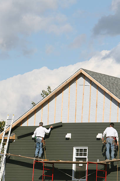 Best Steel Siding Installation  in San Elizario, TX